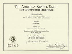 Junior Lure Coursing Certificate